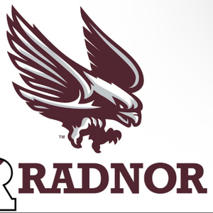 Fundraising Page: Radnor High School Children’s Heart Club